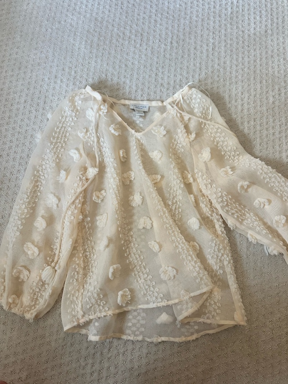 Light Cream Textured Floral Sheer Blouse